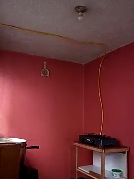 baby 22cm online show from March 13, 2026, 11:59 am