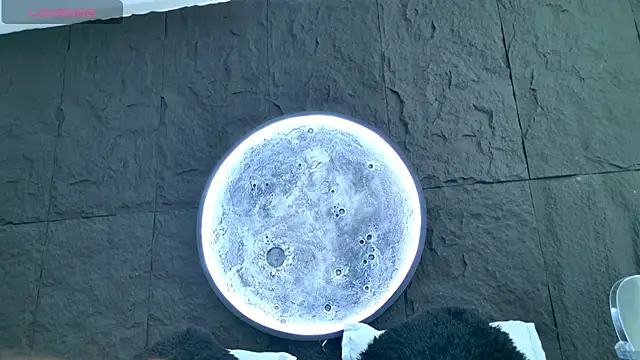 Snapshot of Alice-Bunny chatting on February 18, 2026, 8:27 pm Alice-Bunny online show from February 18, 2026, 8:27 pm