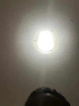 pussyeater - online show from April 9, 2026, 6:19 am