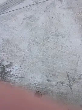 stallone italiano 62 online show from February 8, 2026, 11:08 am