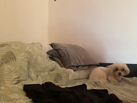 Snapshot of Blondniunia chatting on March 2, 2026, 1:18 pm Blondniunia online show from March 2, 2026, 1:18 pm