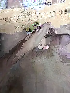 Bangladeshi big online show from April 3, 2026, 10:00 am