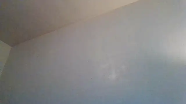 Tallhungandcloudy online show from February 19, 2026, 8:28 pm