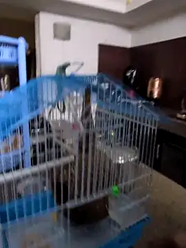 sexysilmy online show from February 25, 2026, 8:36 am