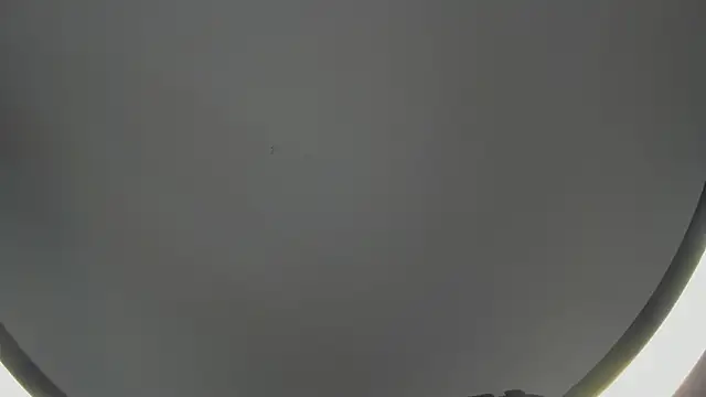 Snapshot of SinLickerr chatting on February 18, 2026, 7:43 pm SinLickerr online show from February 18, 2026, 7:43 pm