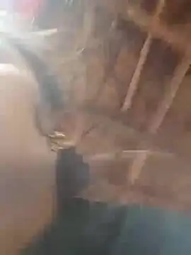 Deepjakolirr online show from April 14, 2026, 12:37 am