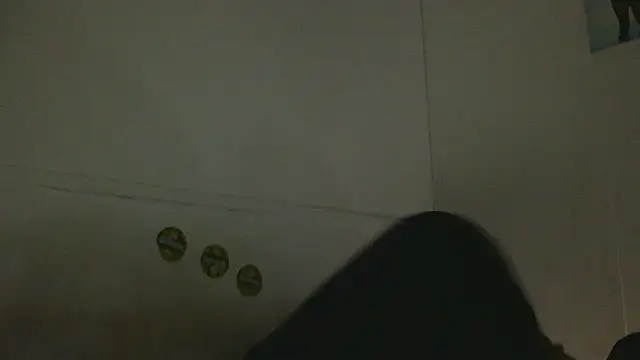 pbilip7787 online show from February 25, 2026, 9:47 pm