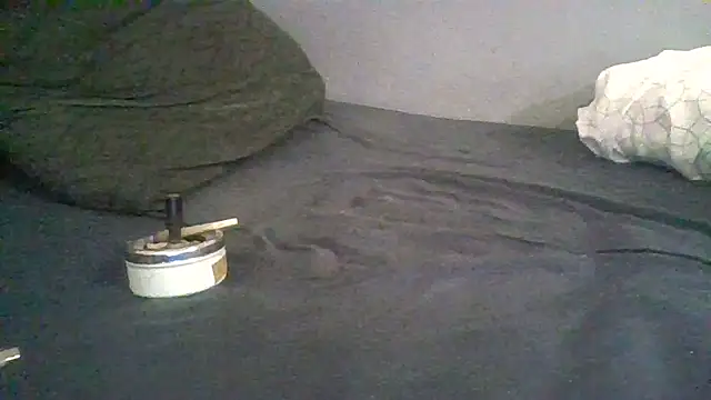 BonneQueueBonjour online show from February 22, 2026, 11:45 am