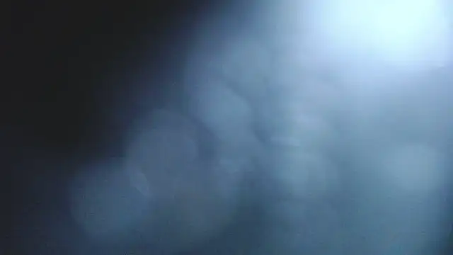 Stannly1 online show from March 11, 2026, 9:36 am