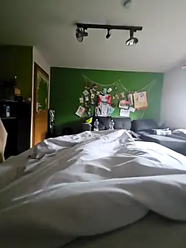 Snapshot of Gris-shadow chatting on February 17, 2026, 11:18 am Gris-shadow online show from February 17, 2026, 11:18 am