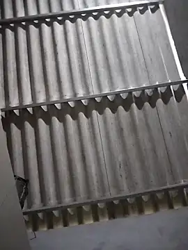 Snapshot of Baby_flower_1 chatting on February 16, 2026, 8:24 am Baby flower 1 online show from February 16, 2026, 8:24 am