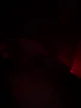 shark822 online show from March 2, 2026, 8:27 pm