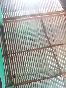 laurens world online show from April 18, 2026, 6:32 pm