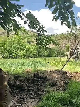 TurkeyMen online show from May 29, 2026, 9:04 am