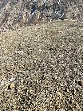 TurkeyMen online show from March 3, 2026, 10:11 am