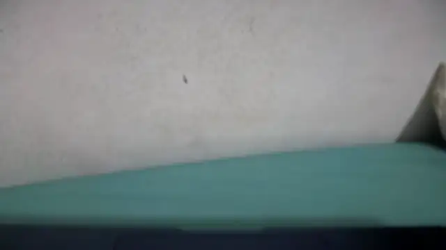 Snapshot of Neila_SexyGirl chatting on May 21, 2026, 5:16 am Neila SexyGirl online show from May 21, 2026, 5:16 am