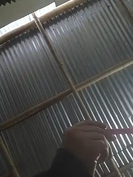 mar coral2 online show from March 27, 2026, 11:44 am