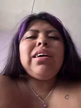 perritarebeldee online show from March 14, 2026, 12:22 pm