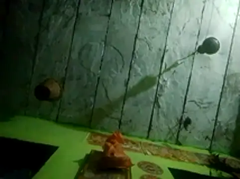 wifedesi7050 online show from March 28, 2026, 12:44 am