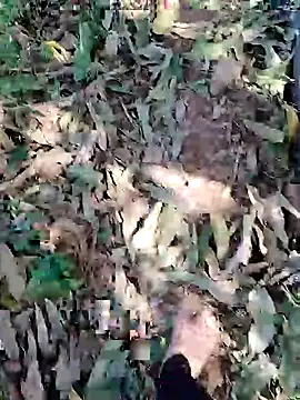 Snapshot of blackbeauty321 chatting on March 3, 2026, 9:05 am blackbeauty321 online show from March 3, 2026, 9:05 am