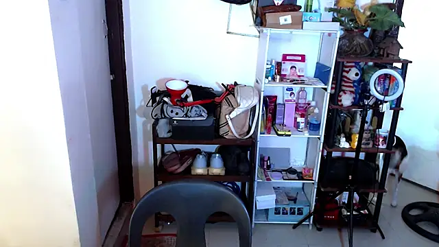 sweetasian zoe online show from April 17, 2026, 6:11 pm