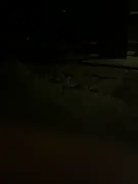 princessandthefootjob online show from March 31, 2026, 4:36 am