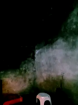 elen8800 online show from April 19, 2026, 11:11 am