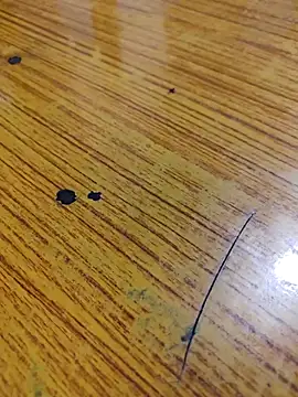 Snapshot of 67sanju chatting on February 24, 2026, 1:12 pm 67sanju online show from February 24, 2026, 1:12 pm