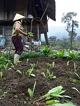 Heylen hooo online show from March 12, 2026, 10:41 am