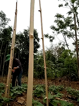 lyly sexx online show from April 1, 2026, 2:02 am