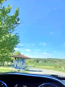 lui8181 online show from April 15, 2026, 2:43 pm