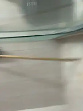 David-latinlover online show from March 29, 2026, 10:44 pm