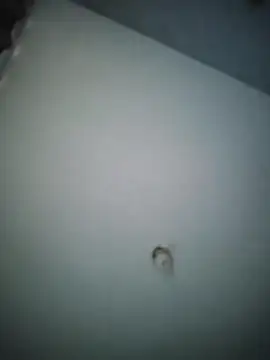 Snapshot of misteriosocam40 chatting on April 9, 2026, 5:41 pm misteriosocam40 online show from April 9, 2026, 5:41 pm