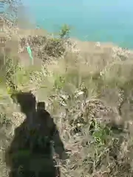 mariaplaya online show from April 8, 2026, 9:55 am