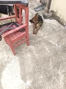 mylove202022 online show from March 15, 2026, 2:07 am