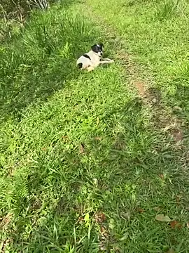 Zoe Luxxe  online show from March 23, 2026, 8:30 pm