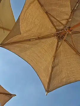  sexy medo0 online show from July 14, 2026, 6:29 am