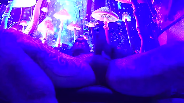 drednasty online show from March 26, 2026, 4:00 am