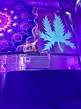 drednasty online show from April 5, 2026, 4:08 am