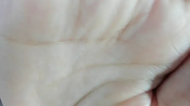 Angell cherryht online show from March 28, 2026, 8:43 pm