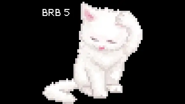 BlinkingDross online show from May 11, 2026, 2:45 pm