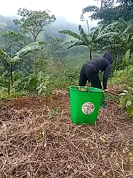 Bling-pusy online show from July 16, 2026, 9:39 am