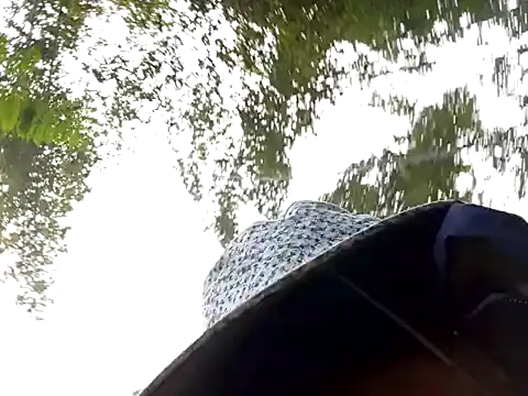 Yellow-pink online show from March 13, 2026, 2:16 am