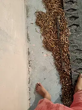 Desii rockstarr online show from March 14, 2026, 2:50 am