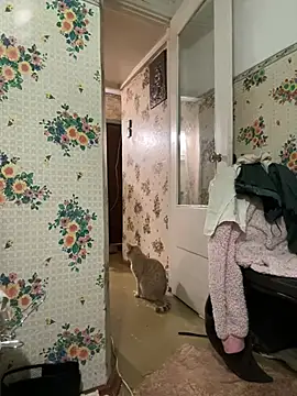 Nenssy555 online show from April 15, 2026, 7:58 pm