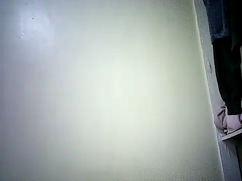 Snapshot of PrimBee chatting on March 20, 2026, 8:48 am PrimBee online show from March 20, 2026, 8:48 am