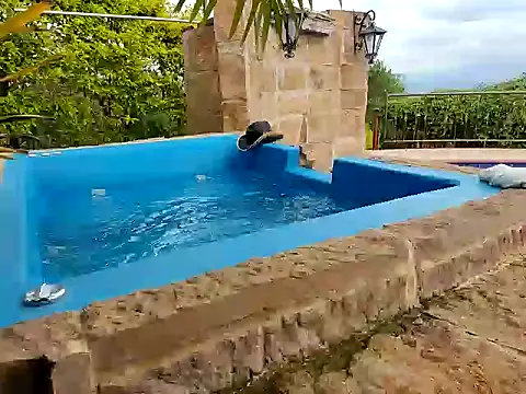 wildestatecouple online show from March 17, 2026, 6:11 pm