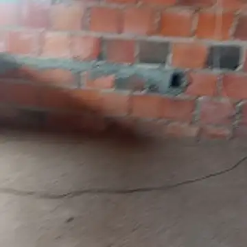 hotwife   br online show from March 31, 2026, 3:14 pm