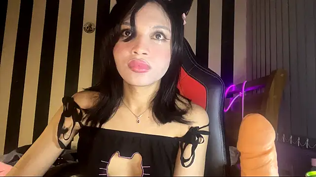 stellapapilon online show from April 3, 2026, 11:11 pm