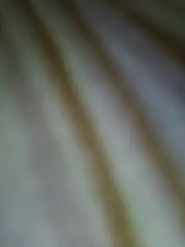 Snapshot of Mona_ji32 chatting on March 29, 2026, 5:25 pm Mona ji32 online show from March 29, 2026, 5:25 pm